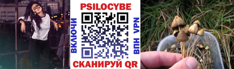 Псилоцибиновые грибы прущие грибы  Купить где  Воронеж 